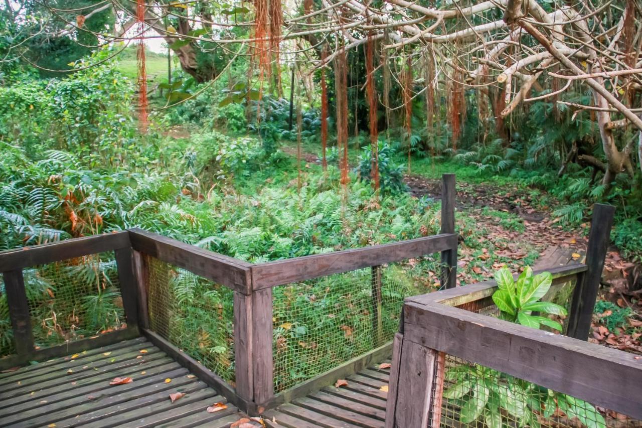 18 The Bridge, St Lucia Daire Dış mekan fotoğraf